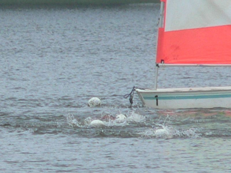 gal/Triathlons Sprint et CD de Feins 2007/P1170780.JPG